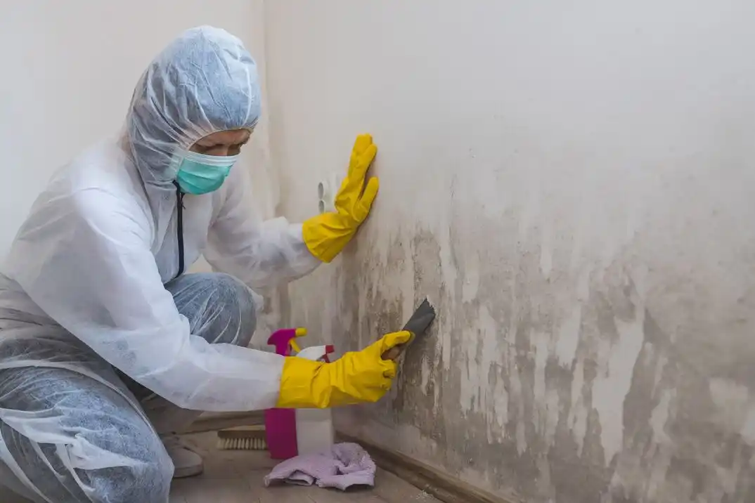 water damage restoration service Middle Creek